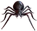 Giant Spider top view 3D illustration Royalty Free Stock Photo