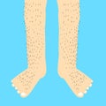 Hairy legs. Vector Illustration. curly, flat,