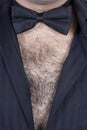 Hairy male chest Royalty Free Stock Photo