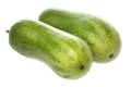 Hairy Marrows Isolated