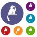 Hairy monkey icons set