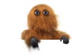 Hairy monster Royalty Free Stock Photo