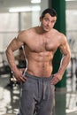 Hairy Muscular Man Flexing Muscles In Gym Royalty Free Stock Photo