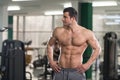 Hairy Muscular Man Flexing Muscles In Gym Royalty Free Stock Photo