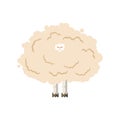 Hairy sheep isolated. Shaggy lamb vector illustration