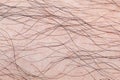 hairy skin texture for pattern