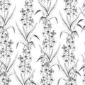 Hairy willow herb pattern