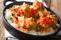 Haitian stewed Chicken poulet creole with rice closeup. horion Royalty Free Stock Photo