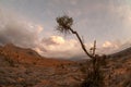 Hajar mountains, Oman Royalty Free Stock Photo