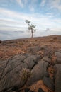 Hajar mountains, Oman Royalty Free Stock Photo