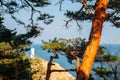 Hajodae lighthouse and sea with pine trees in Yangyang, Korea