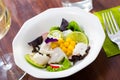 Hake ceviche with mango and lime Royalty Free Stock Photo