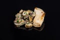 Hake fillet with mushrooms and chives with reflection on black background