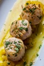 Hake medallions viewed from above, gourmet dish