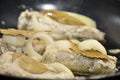 Hake on pan Royalty Free Stock Photo
