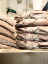 Hakes in a market. Royalty Free Stock Photo