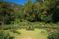 Hakgala Botanical Garden, Nuwara eliya, Sri Lanka.