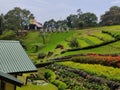 Hakgala Botanical Garden situated on the Nuwara Eliya-Badulla main road