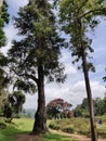 Hakgala Botanical Garden situated on the Nuwara Eliya-Badulla main road