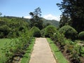 Hakgala garden in Sri Lanka