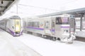 Closeup local train of Japan and speed train parked at Hakodate train station