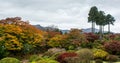 Hakone in Autumn Royalty Free Stock Photo