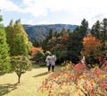 HAKONE, JAPAN - NOVEMBER 5, 2017: Sculpture in the open air museum. Copy space for text. Royalty Free Stock Photo