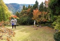 HAKONE, JAPAN - NOVEMBER 5, 2017: Sculpture in the open air museum. Copy space for text.