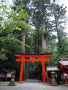 Hakone Shrine's Torii, Japan