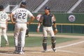 Hal Lanier and Craig Biggio Royalty Free Stock Photo