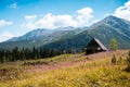 Hala Gasienicowa, Tatra mountains Zakopane Poland