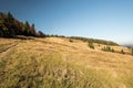 Hala na Malej Raczy in autumn Beskid Zywiecki mountains on polish - slovakian borders Royalty Free Stock Photo