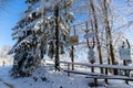 Trail signposts covered with fresh snow in winter on Hala Slowianka, Beskids, Poland