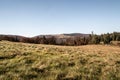 Hala Srubita in autumn Beskid Zywiecki mountains in Poland Royalty Free Stock Photo