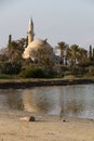 Hala Sultan Tekke on Larnaca salt-lake in Cyprus- portrait Royalty Free Stock Photo