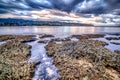 Haleiwa beach park on oahu hawaii in summer Royalty Free Stock Photo