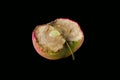 Half of the apple. Royalty Free Stock Photo