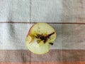 Half an apple with a worm Royalty Free Stock Photo