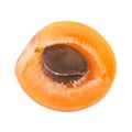 Half of Apricot with fruit core Royalty Free Stock Photo