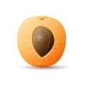 Half apricot fruit Royalty Free Stock Photo