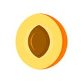 Half apricot icon, flat style