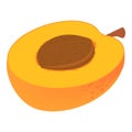 Half apricot icon, isometric style Royalty Free Stock Photo