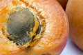 Half apricot with stone, macro shot Royalty Free Stock Photo