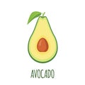 Half of Avocado in flat style on white background Royalty Free Stock Photo