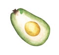 Half Avocado fruit. Watercolor illustration. Royalty Free Stock Photo