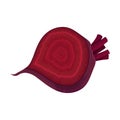 Half Beet-Root With Red Pith Vector Illustration Royalty Free Stock Photo