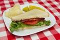 Half blt Royalty Free Stock Photo