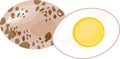 Half boiled quail egg and whole brown egg on white background Royalty Free Stock Photo