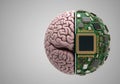Half of the brain is made of microcircuits and chips. Space for text. Royalty Free Stock Photo