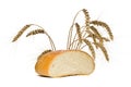 Half of the bread loaf and wheat spikes, isolated Royalty Free Stock Photo